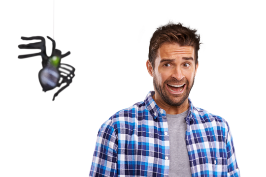 A young man cowering in terror at a spider Isolated on a PNG background.