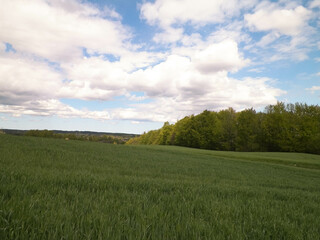 Cloudy sky over fields and meadows.