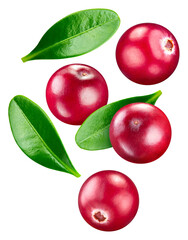 Cranberry isolated on white background