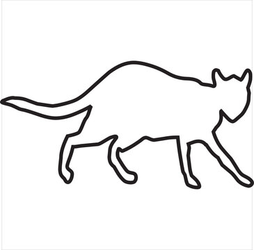 Vector, Image of cat icon, black and white in color, with transparent background