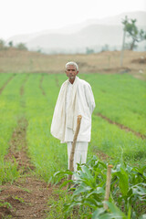 Fototapeta premium indain farmer in vegetable farm selective focus, shallow depth of field, or blur.