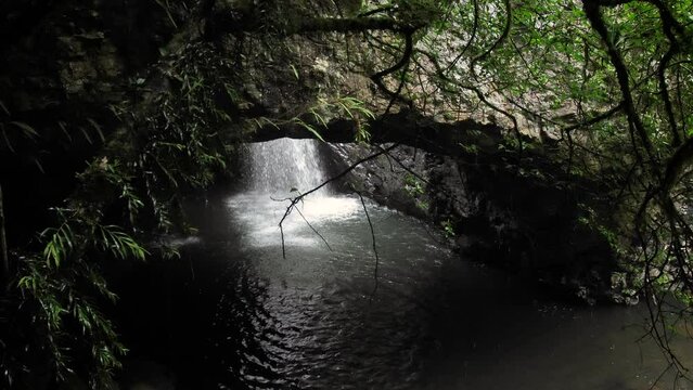 View of the waterfall in Natural Bridge, Springbrook National Park, Gold Coast Hinterland, Australia