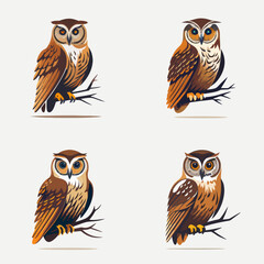 4 variants of the owl logo. Logo vector illustration