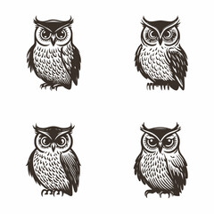 4 variants of the owl logo. Logo vector illustration