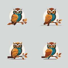 4 variants of the owl logo. Logo vector illustration