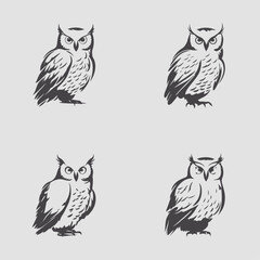 4 variants of the owl logo. Logo vector illustration