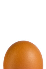 half Chicken Egg isolated on white background.