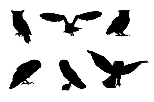 Set of silhouettes of owls vector design