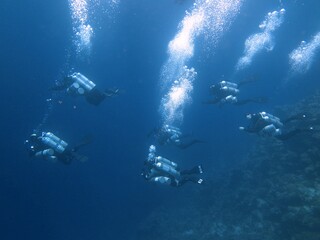 Fototapeta na wymiar Scuba divers going too deep with many scuba tanks