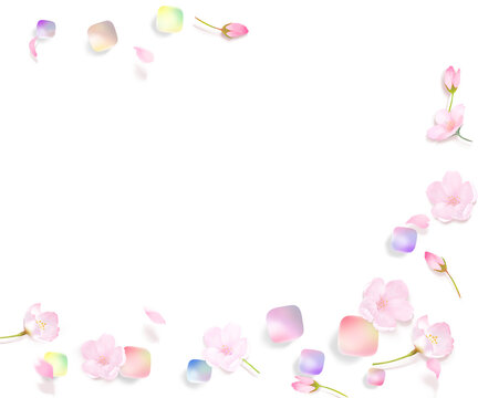 桜の花とつぼみと花びらー虹色ガラスの転がるかわいいフレームイラスト白バック素材