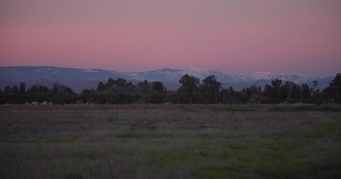 A pastel sky over the Sierra Nevada mountains with power lines and trees in the foreground in Clovis, CA, USA