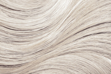 Blond hair close-up as a background. Women's long blonde hair. Beautifully styled wavy shiny curls. Hair coloring. Hairdressing procedures, extension. White hair