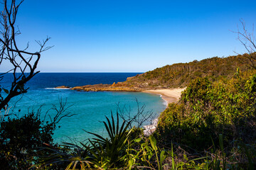 Shelly Beach