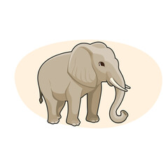 Adult Asian elephant. Vector illustration.