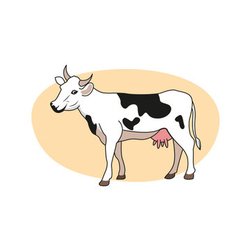 Adult female cow with black spots on white. Vector illustration.