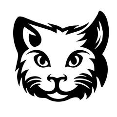 Kitten Creative Design