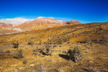 Altyn Emel National Park. Kazakhstan