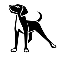 Pointer Creative Design