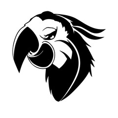 Parrot Creative Design