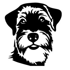 Terrier Creative Design