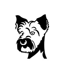 Terrier Creative Design