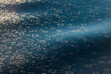 imagen de pequeñas placas de hielo formándose en el agua del mar por el frío y la luz del sol dando volumen al agua