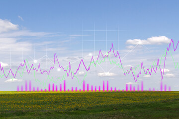 Land value landscape of green field or agriculture farm, growth graph. Real estate or property for business. Copy space