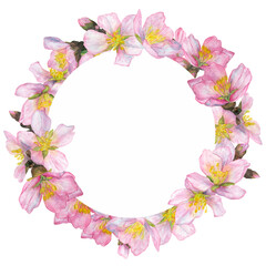 Watercolor illustration, round frame with cherry blossoms on a white background.