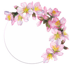 Fototapeta na wymiar Watercolor illustration, a sprig of cherry blossoms in a round frame on a white background.