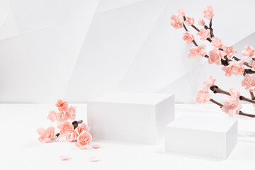 Valentine's Day stage mockup - two white square podiums, branch of gentle sakura flowers, petals in sunlight in interior in geometric modern style for presentation cosmetic products, goods, branding.