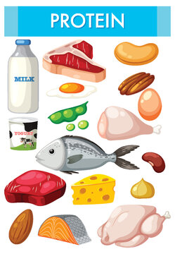 Variety of protein foods