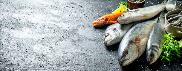 Freshly caught fish.