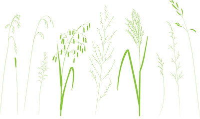 Field and meadow herbs, green outline, trend sketch for eco design. Sketch of medicinal plants, vector drawing for packaging or textile.