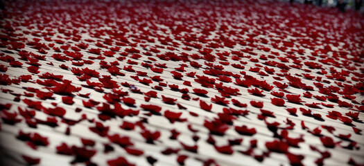 Red Petals on Ground generative AI