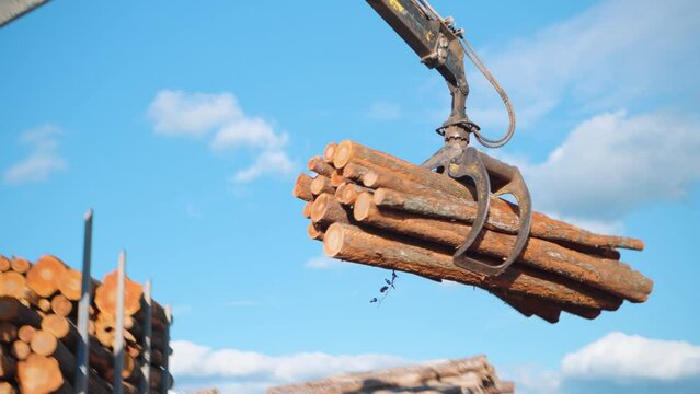 Crane transporting wood