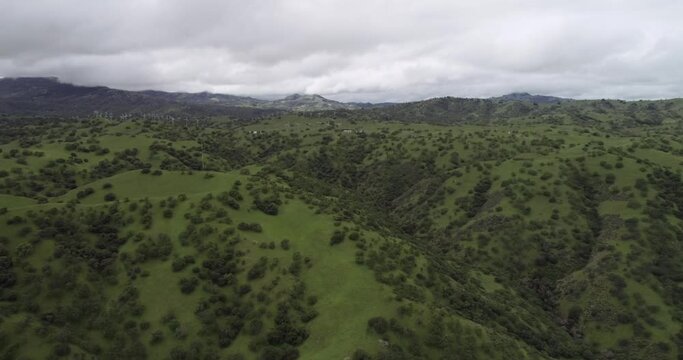 Upper Cottonwood Creek Wildlife Area near Los Banos. California. USA. Mountains in Background