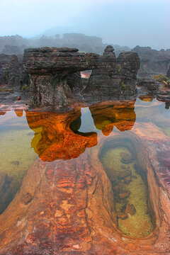 Tepuis tend to be found as isolated entities rather than in connected ranges, which makes them the host of a unique array of endemic plant and animal species. Some of the most outs
