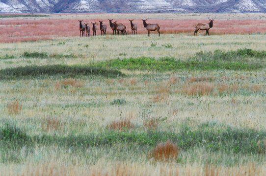 Theodore Roosevelt Wilderness, ND USA