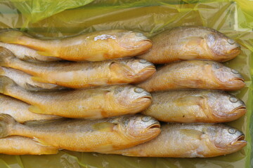fish on the market