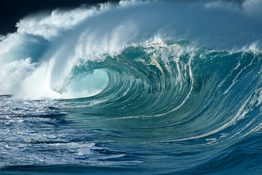 Large breaking wave in Waimea Bay. Northshore of Oahu. Hawaii. USA.