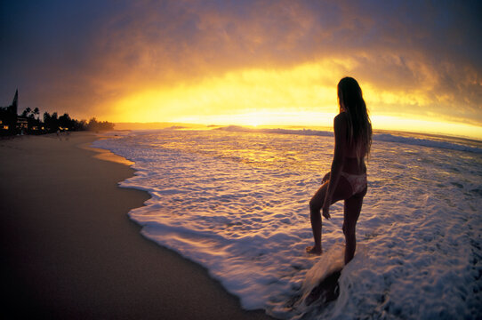 golden beach sunset in Hawaii