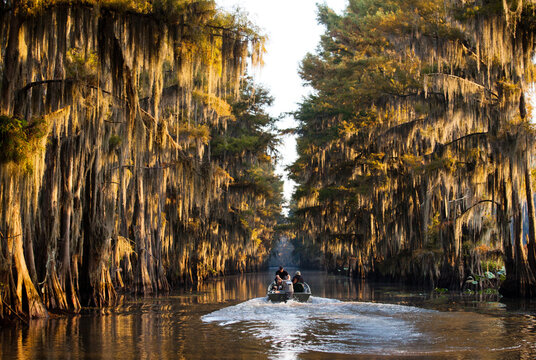Two men float down a tunnel of trees in search of a good fishing hole.
