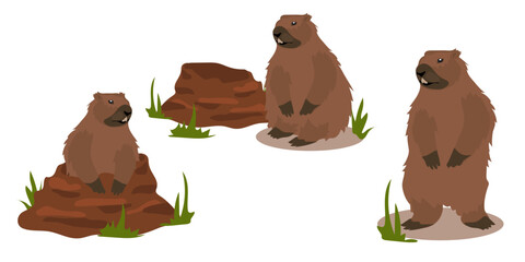 Fototapeta premium A set of groundhogs for groundhog Day with a mink from which he got out. a harbinger of spring. A festive set for postcards, banners and flyers. Vector illustration.