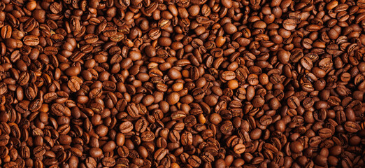 Closeup fresh roasted coffee beans for espresso, brown background banner