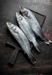 Fresh raw seabass fish.