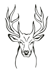 Deer head, hand drawn