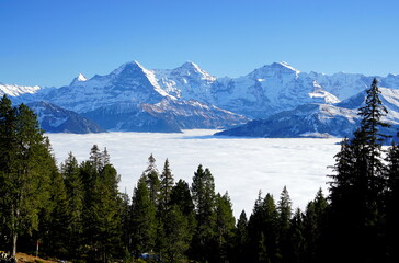 Eiger, Mönch und Jungfrau Alpen Schweiz switzerland Alps