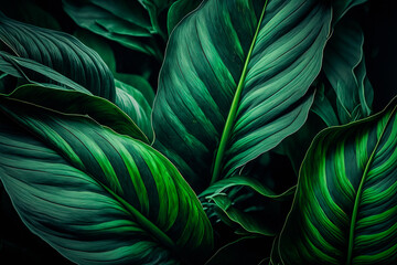tropical leaf abstract green texture, nature background, Generative ai