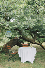 Green leaves with table for two in background, under the tree foliage. Romantic getaway concept. Outdoor dining in rustic garden. Selective focus.