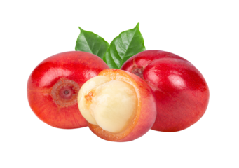 coffee beans with leaf isolated on transparent png